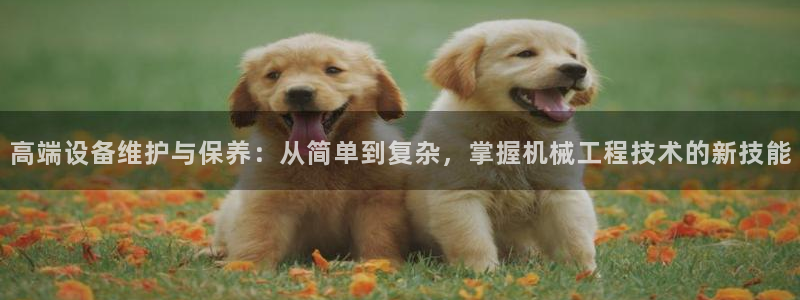 球盟会app网址多少号