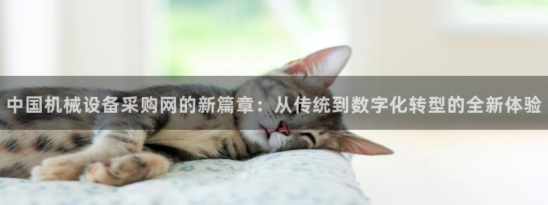 球盟会官方网址入口