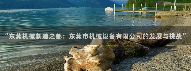 球盟会有没有黑单的球员