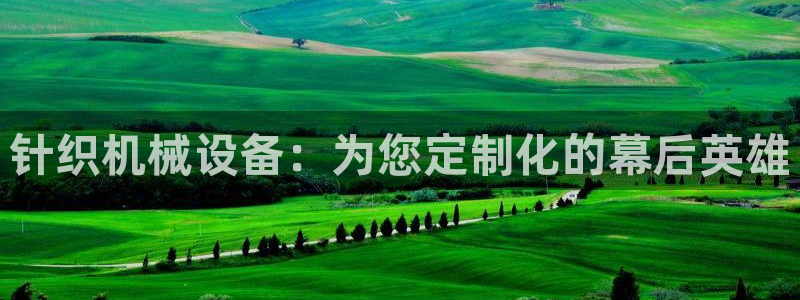 球盟会网址多少