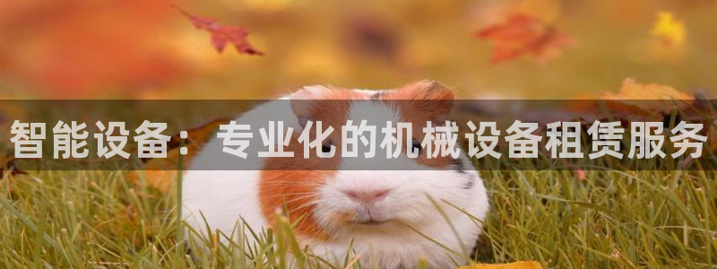 球盟会综合app下载