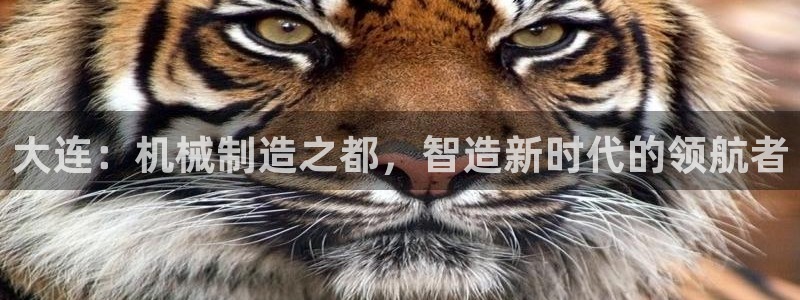 球盟会app最新地址在哪