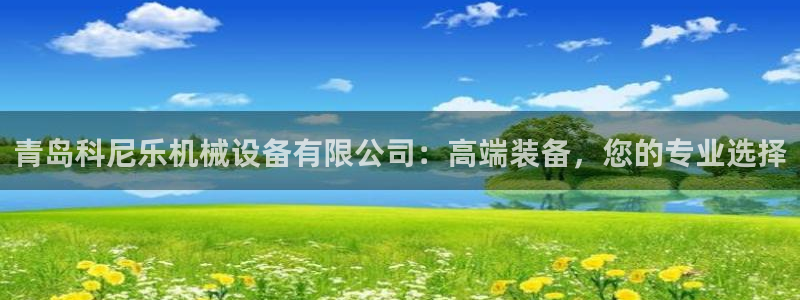 球盟会能提现吗