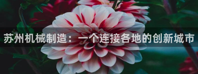 球盟会官方网址入口