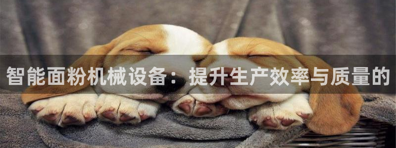 球盟会贴吧