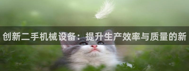 球盟会官网网页版