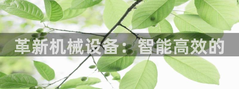 球盟会官方下载