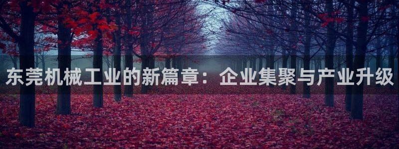 球盟会有限公司怎么样