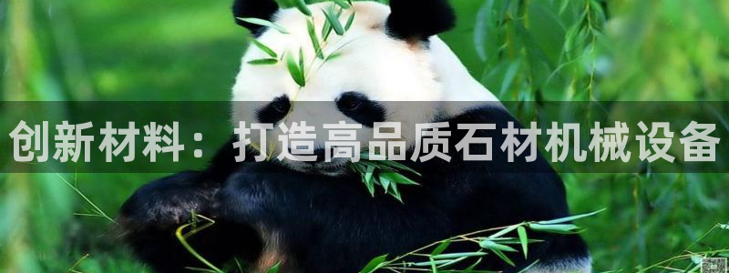 球盟会综合app下载