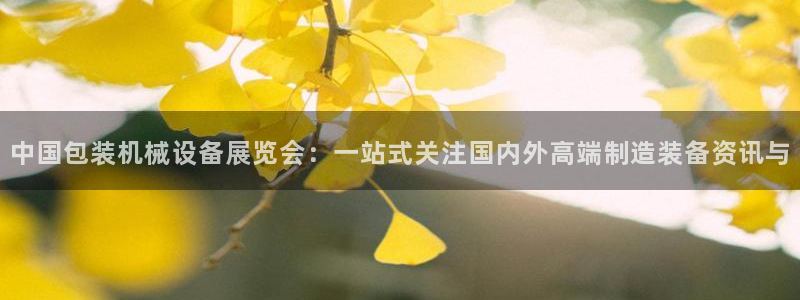 球盟会官方网址入口