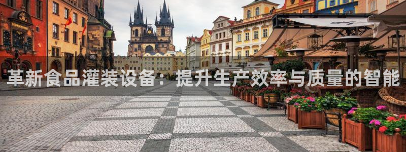 球盟会进不去吗