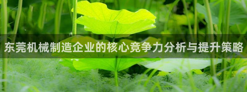 球盟会出款黑了