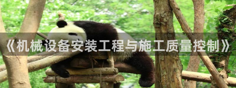 球盟会app网址多少