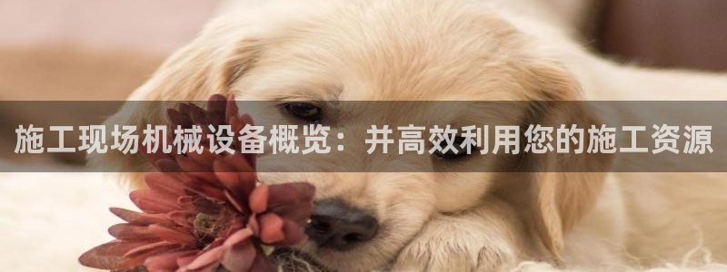 球盟会黑款吗