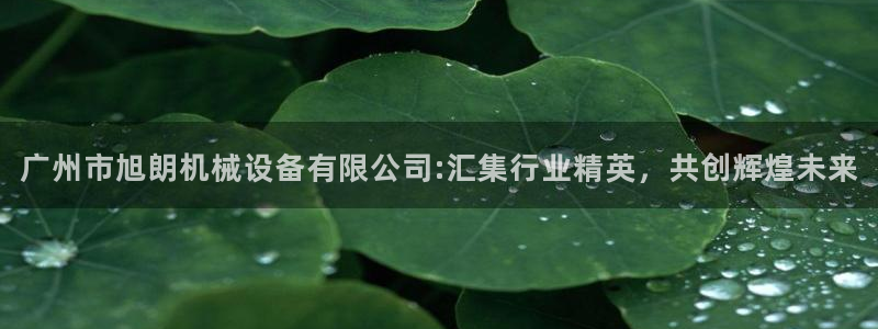 球盟会有没有黑单的
