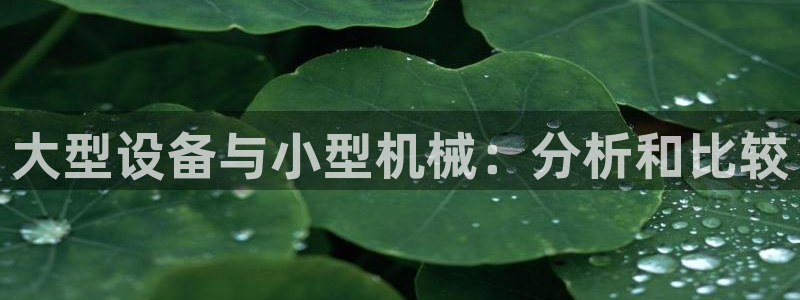 球盟会类似的网站