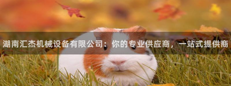 球盟会登陆入口