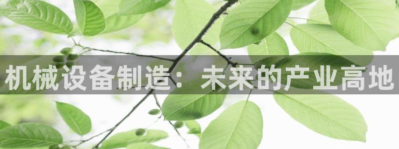 球盟会官方网页登录