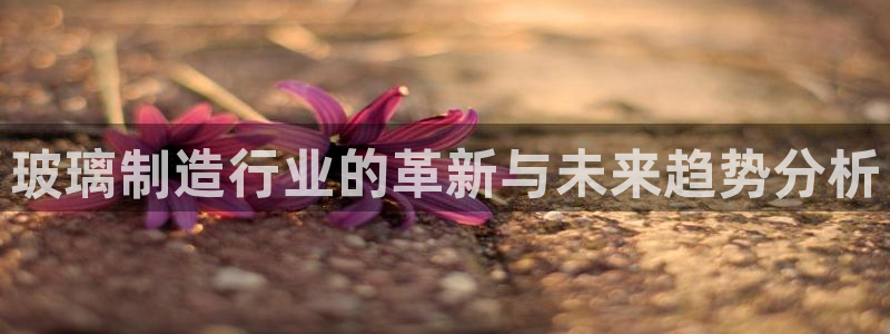 球盟会官方网页登录