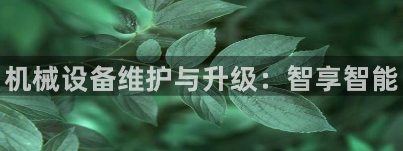 球盟会app最新地址下载安装